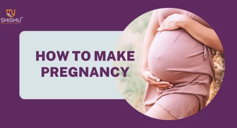 How to Make Pregnancy