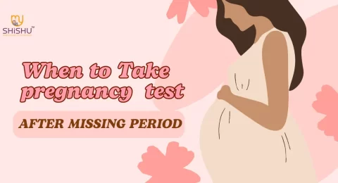 When to Take A Pregnancy Test After Missed Period