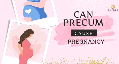Can Precum Cause Pregnancy