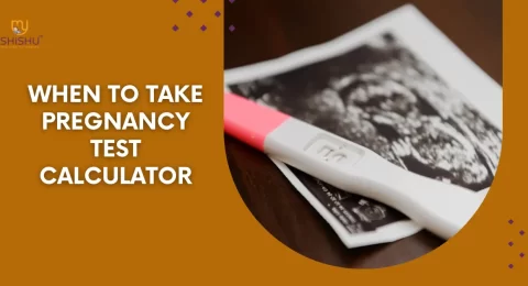 When to Take Pregnancy Test Calculator