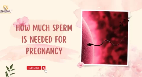 How Much Sperm is Needed for Pregnancy