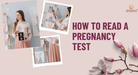 How to Read a Pregnancy Test