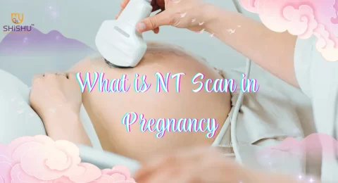 What is NT Scan in Pregnancy