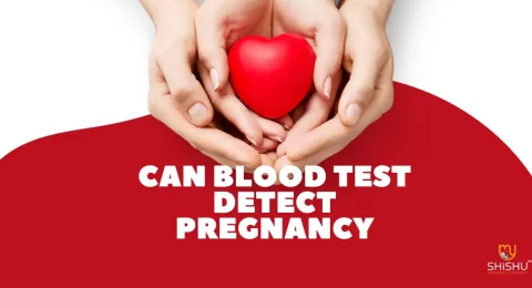 Can Blood Test Detect Pregnancy