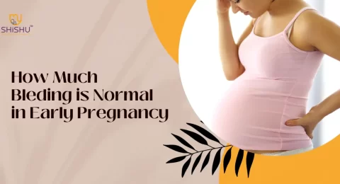 How Much Bleeding is Normal in Early Pregnancy