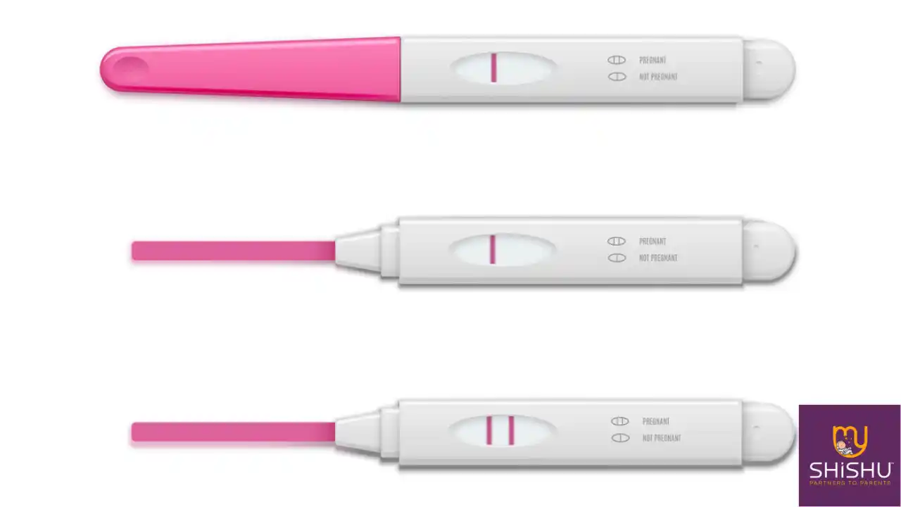 Pregnancy Kit Test