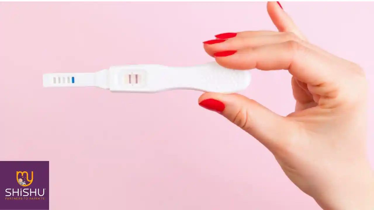 Pregnancy Urine Test
