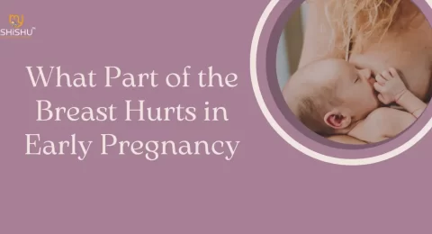 What Part of the Breast Hurts in Early Pregnancy