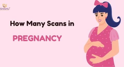 How Many Scans in Pregnancy