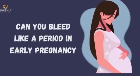 Can You Bleed Like a Period in Early Pregnancy