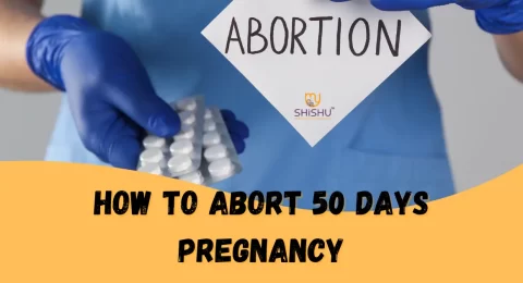 How to Abort 50 Days Pregnancy