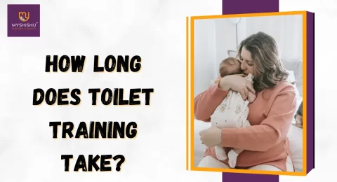 How long does toilet training take?