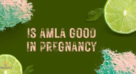 Is Amla Good in Pregnancy