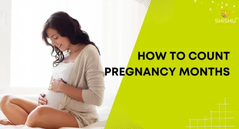 How to Count Pregnancy Months