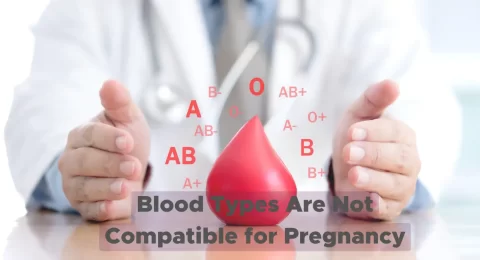 Blood Types Are Not Compatible for Pregnancy