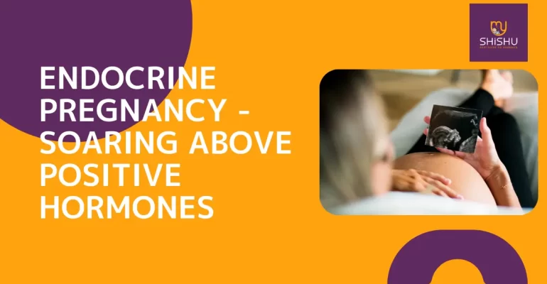 Endocrine Pregnancy