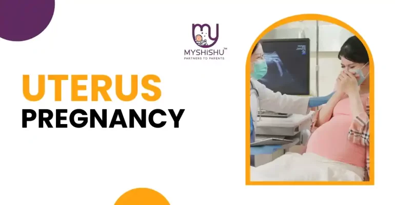 Uterus Pregnancy