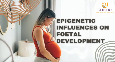 epigenetic influence on foetal development