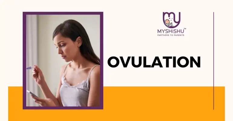 Ovulation Fertility
