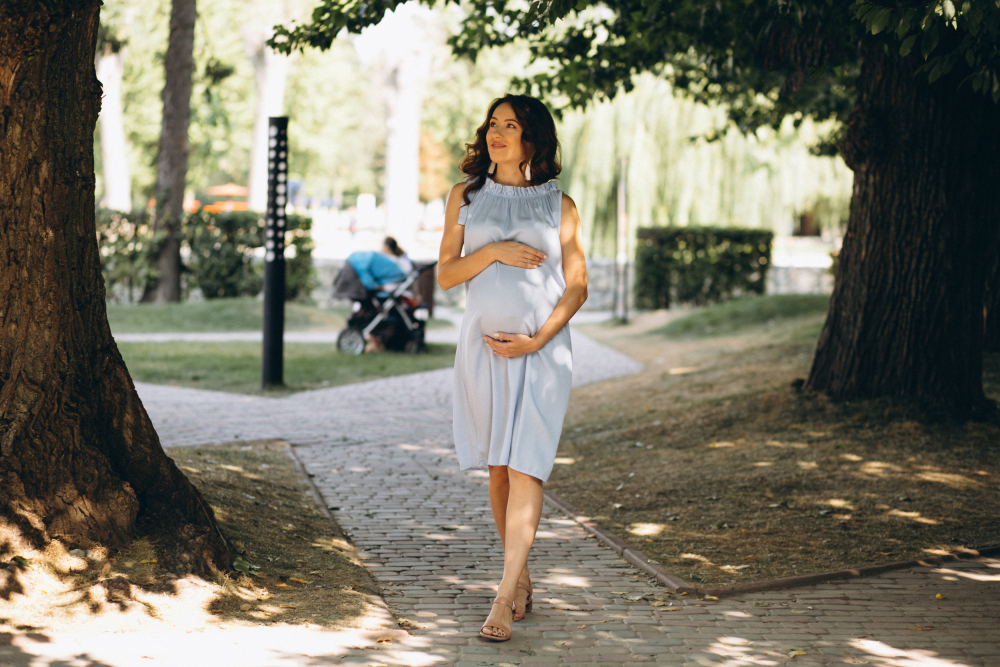 Travel during pregnancy