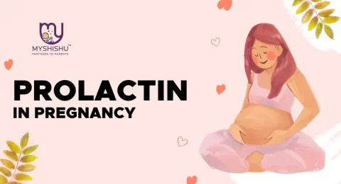 Prolactin In Pregnancy