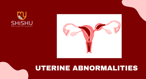 treatment options for uterine abnormalities