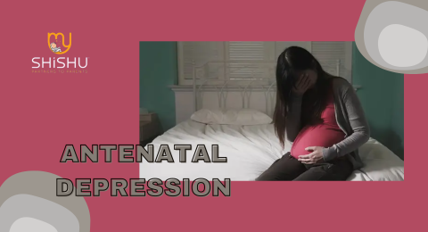 understanding antenatal depression