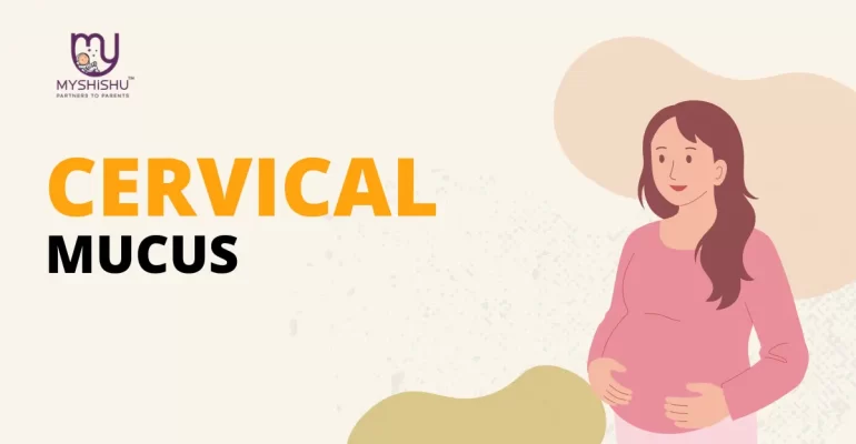 cervical mucus during pregnancy