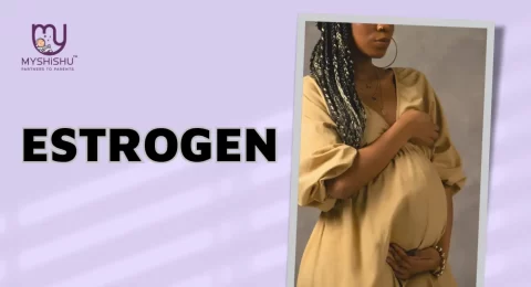 Estrogen During Pregnancy