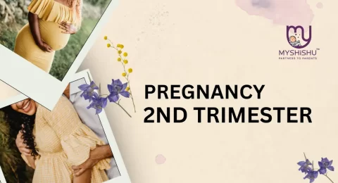 pregnancy 2nd trimester