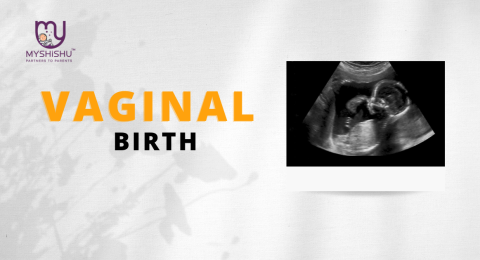 Vaginal Birth Delivery