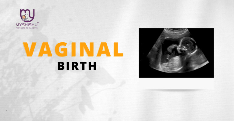 Vaginal Birth Delivery