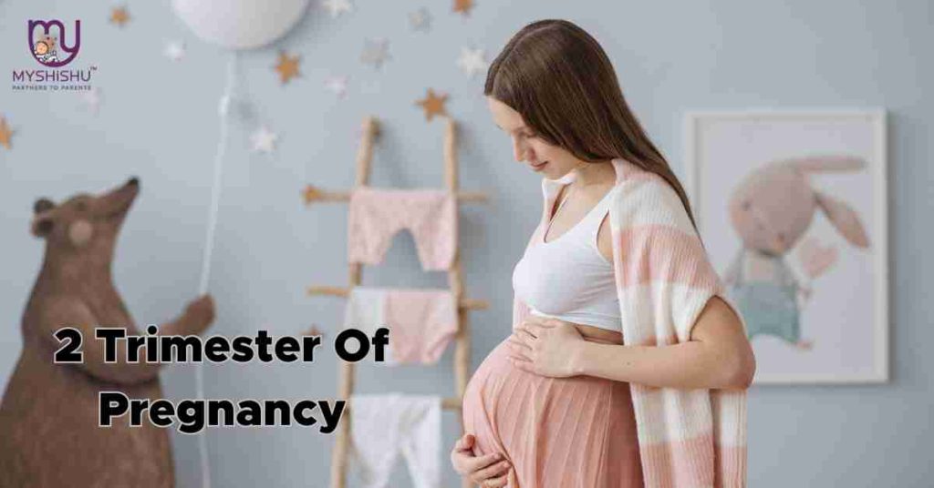 2 Trimester Of Pregnancy