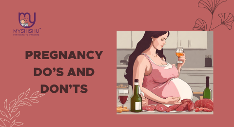 understanding early pregnancy