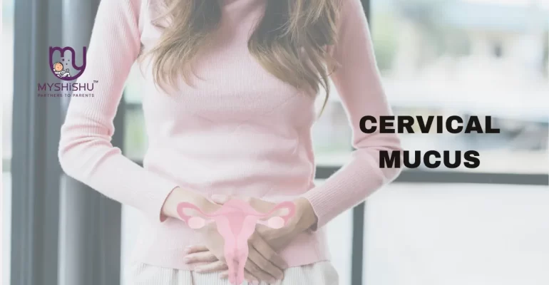 significance of cervical mucus in early pregnancy