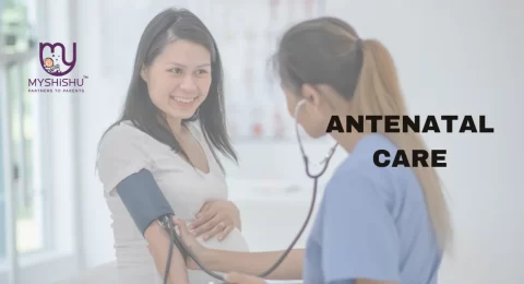the components of antenatal care