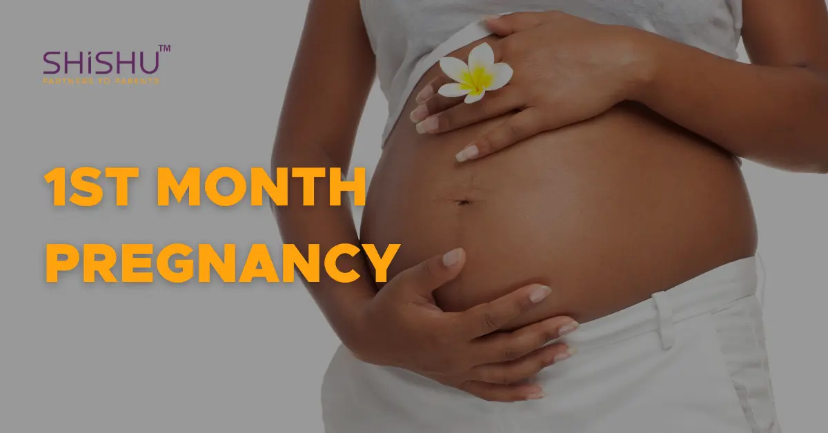 1st month of pregnancy