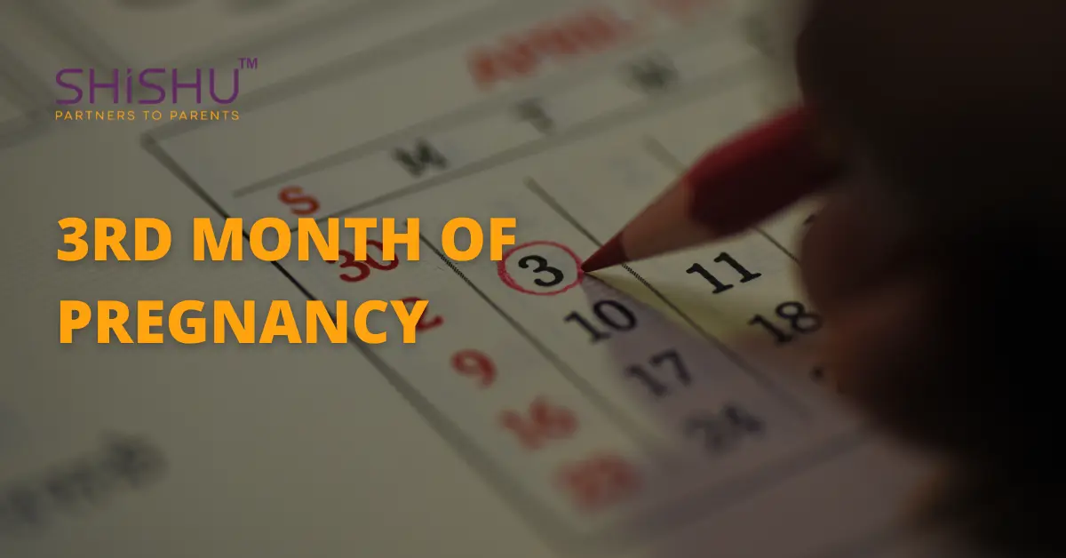 3Rd Month Of Pregnancy