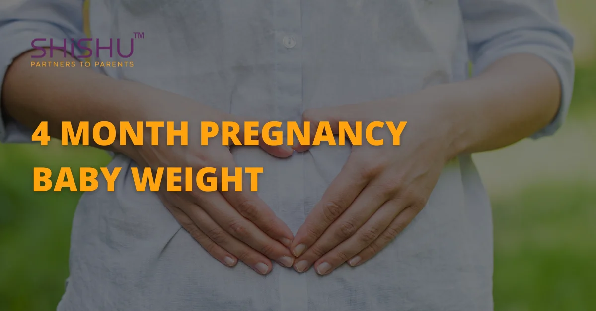 4 Month Pregnancy Baby Weight