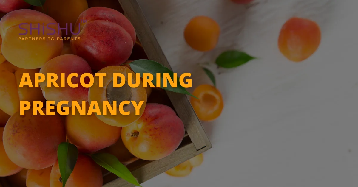 Apricot During Pregnancy