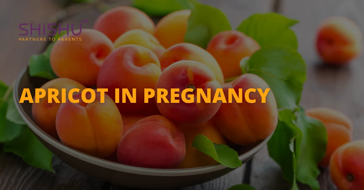 Apricot In Pregnancy
