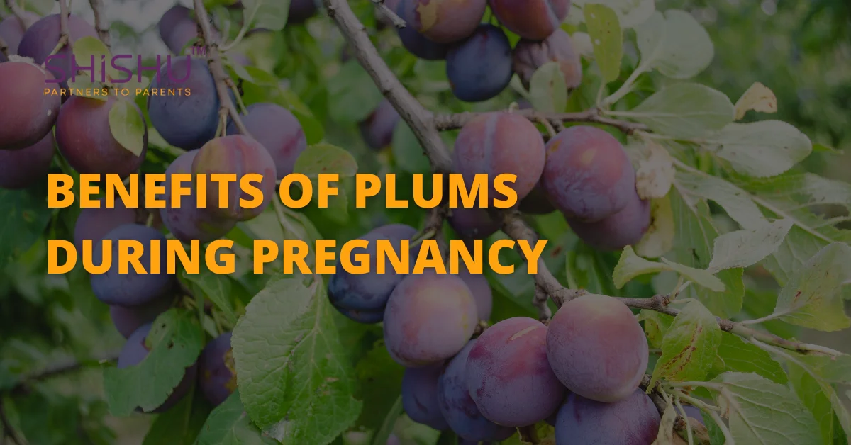Benefits Of Plums During Pregnancy