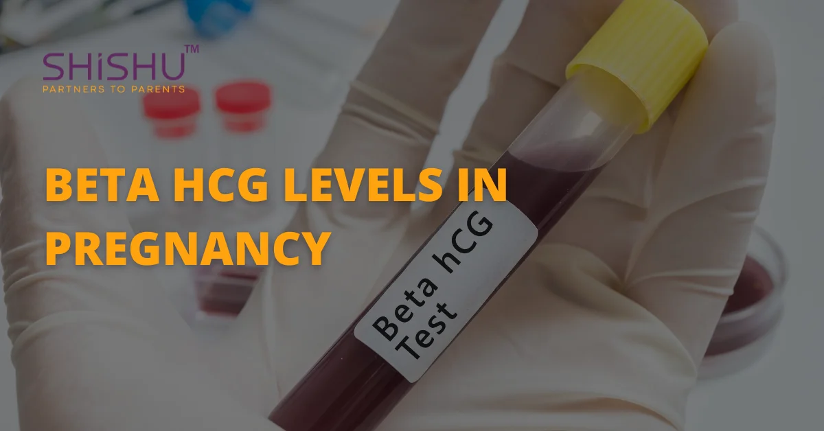 Beta Hcg Levels In Pregnancy