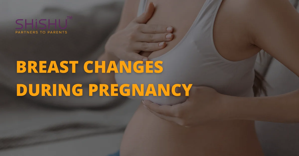 Breast Changes During Pregnancy