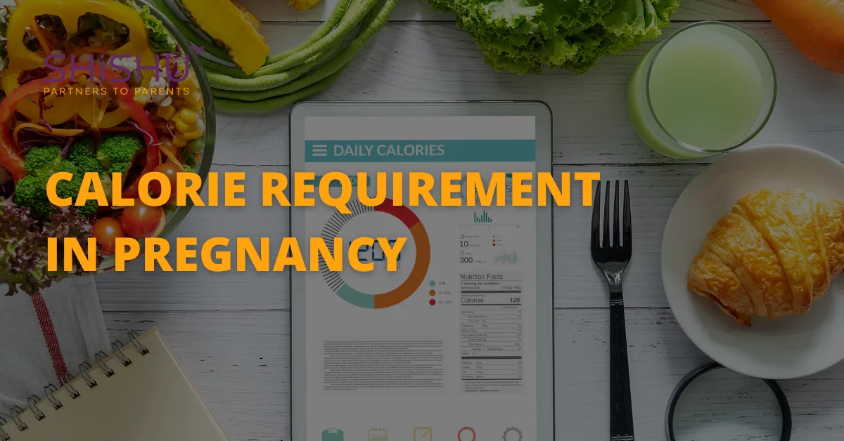 Calorie Requirement In Pregnancy