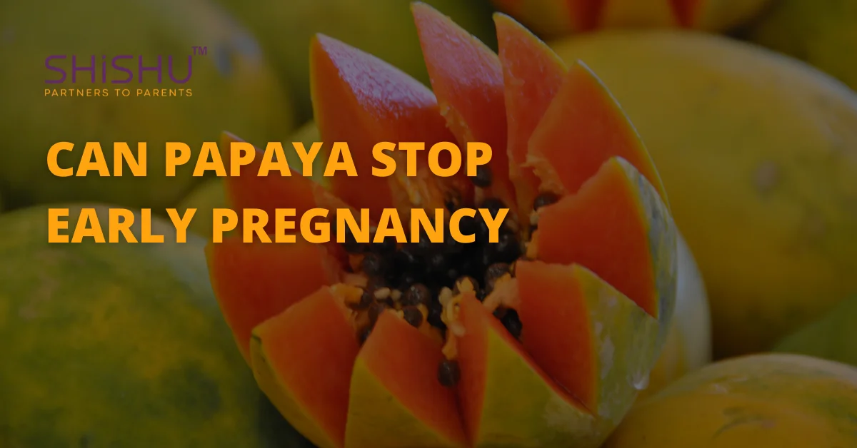 Can Papaya Stop Early Pregnancy