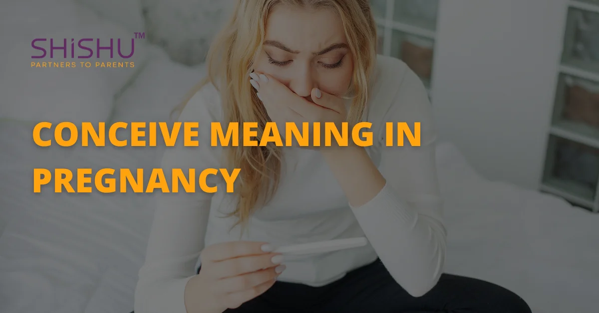 Conceive Meaning In Pregnancy