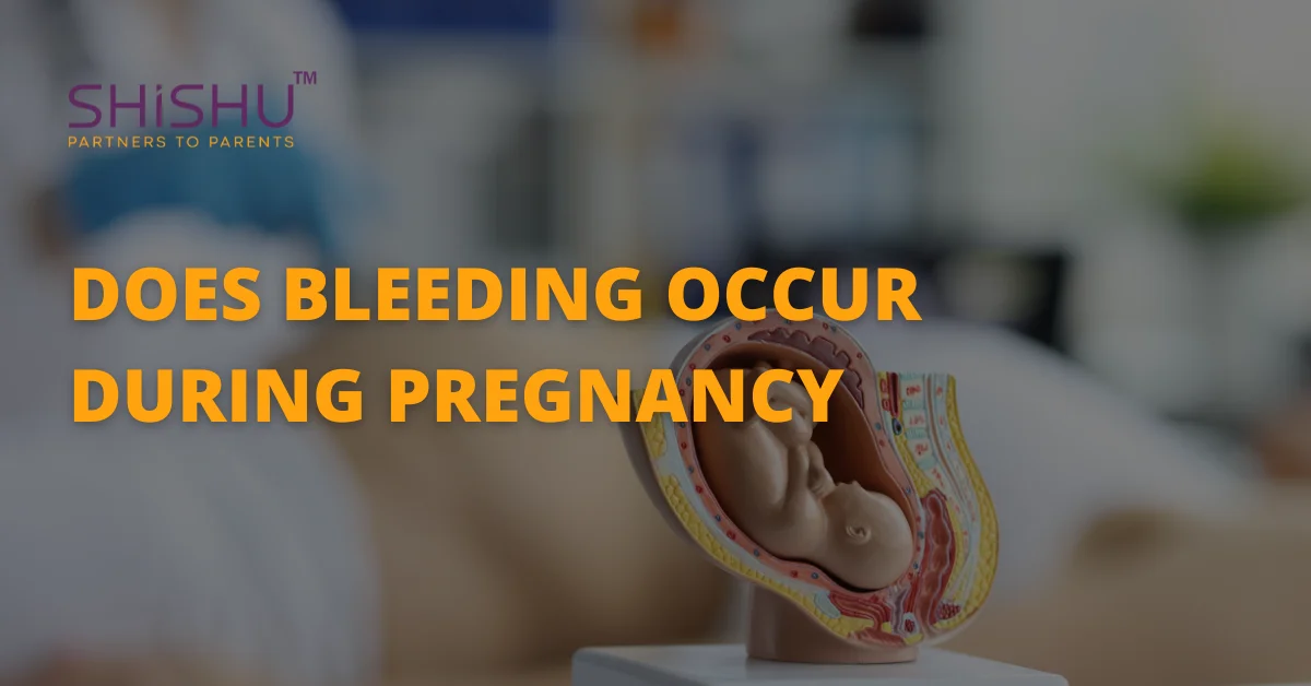 Does Bleeding Occur During Pregnancy