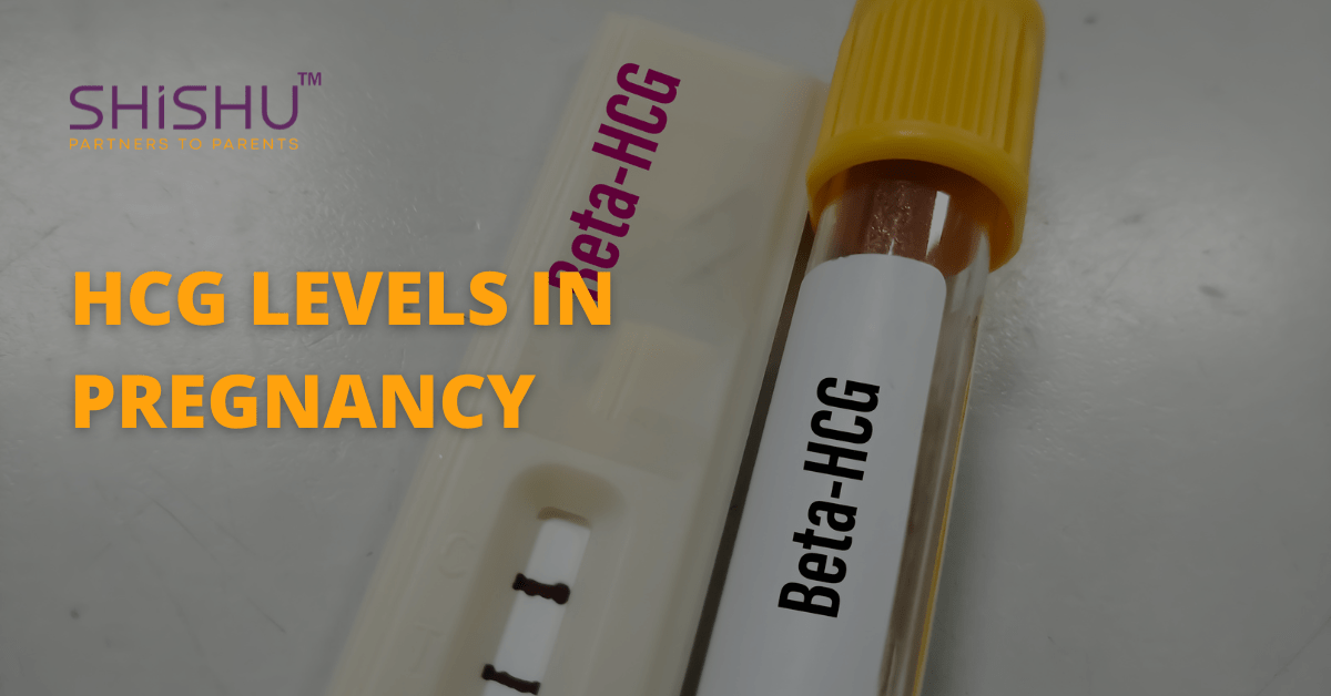 HCG levels in pregnancy