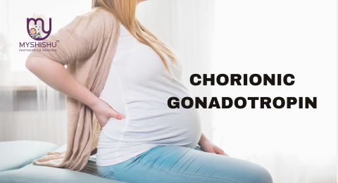 understanding chorionic gonadotropin